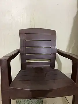 poision51 online show from January 2025 12:19:01 PM