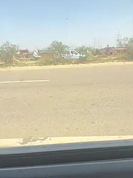 poision51 online show from March 2025 05:21:02 AM