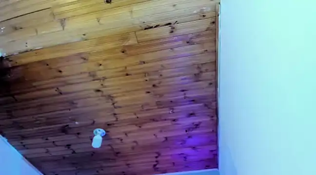 Namiko Park online show from January 2025 04:02:02 PM