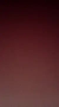 Snapshot of Sexy-Mona2 chatting on December 2024 12:06:01 PM Sexy-Mona2 online show from December 2024 12:06:01 PM