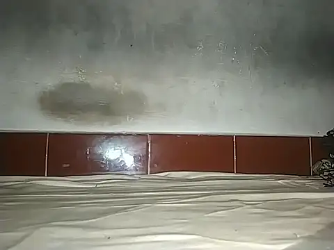 alansteer online show from October 2025 08:15:02 AM