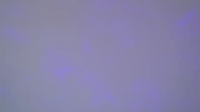 SelinSwarovski online show from November 2025 05:09:01 AM