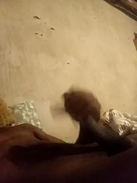 Lexwelll online show from February 2026 08:10:01 AM