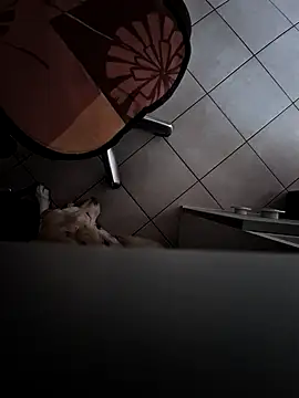 HardWolf2024 online show from December 2024 02:49:02 PM