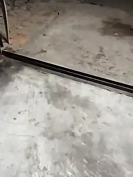 PracticalGum40 online show from December 2024 04:06:01 PM