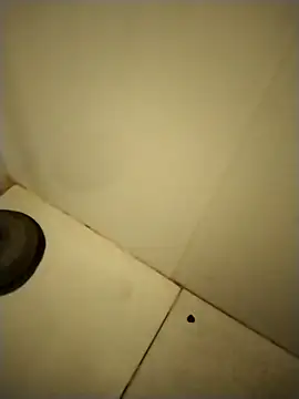 PracticalGum40 online show from December 2024 01:39:01 PM