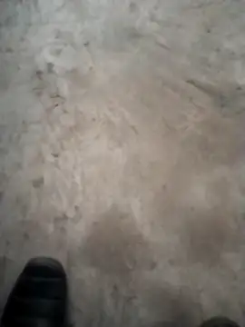 PracticalGum40 online show from December 2024 04:49:02 PM