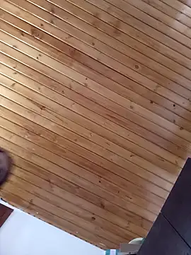 Sofi hot 4m online show from April 2026 01:00:02 PM