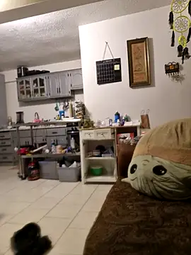 abdierkader online show from November 2025 09:03:02 PM