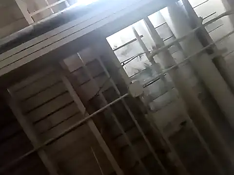 Snapshot of dvaughn3117 chatting on February 2025 06:03:01 AM dvaughn3117 online show from February 2025 06:03:01 AM