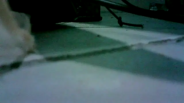 patynalgona online show from October 2025 11:00:02 AM