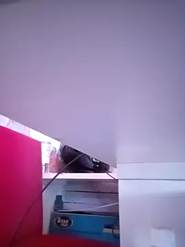 FlacoDani online show from March 2026 05:17:02 PM