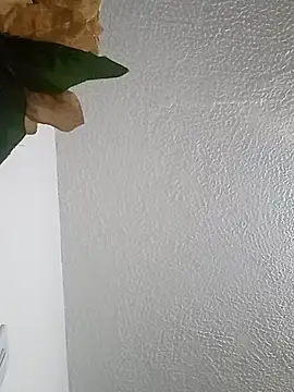 Naomy veracruz  online show from March 2026 10:52:01 AM