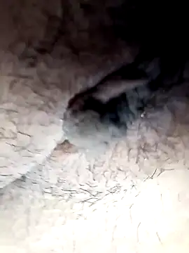 lemon69Reo online show from February 2025 09:48:01 PM