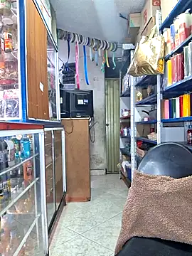 nidia2026 online show from November 2025 03:35:01 PM