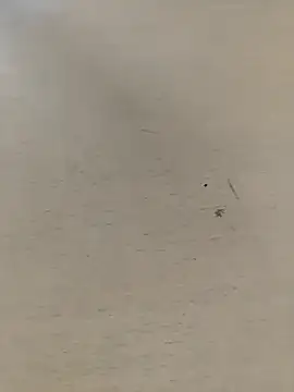 Snapshot of shale26 chatting on September 2025 07:36:01 AM shale26 online show from September 2025 07:36:01 AM