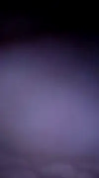 Snapshot of samee00721 chatting on January 2025 02:41:01 PM samee00721 online show from January 2025 02:41:01 PM