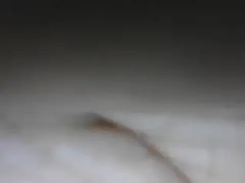 Snapshot of samee00721 chatting on January 2025 08:11:02 PM samee00721 online show from January 2025 08:11:02 PM