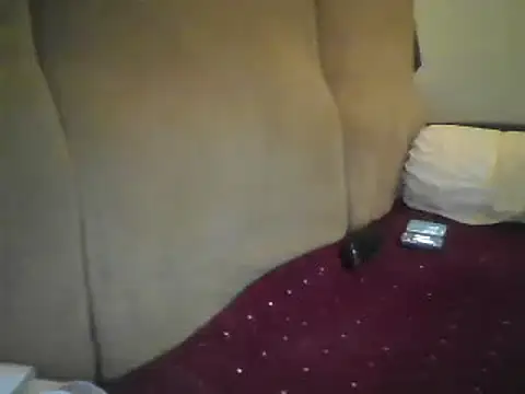 Snapshot of samee00721 chatting on January 2025 10:28:02 PM samee00721 online show from January 2025 10:28:02 PM