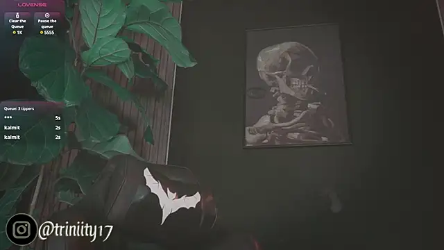 Snapshot of Trinity___s chatting on January 2025 08:13:02 AM Trinity s online show from January 2025 08:13:02 AM