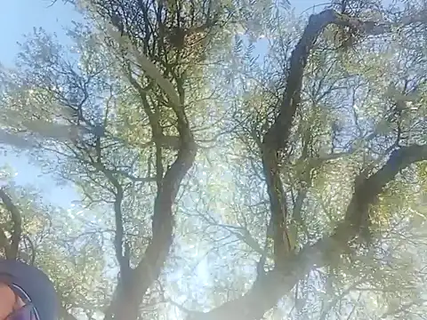 Snapshot of Darly_Gomez chatting on December 2024 03:22:02 PM Darly Gomez online show from December 2024 03:22:02 PM