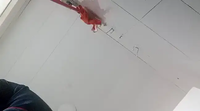 Snapshot of Darly_Gomez chatting on January 2025 10:33:02 PM Darly Gomez online show from January 2025 10:33:02 PM