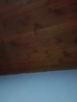 Snapshot of Darly_Gomez chatting on February 2025 08:41:02 PM Darly Gomez online show from February 2025 08:41:02 PM