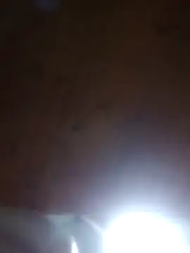 Snapshot of Darly_Gomez chatting on March 2025 12:04:01 AM Darly Gomez online show from March 2025 12:04:01 AM