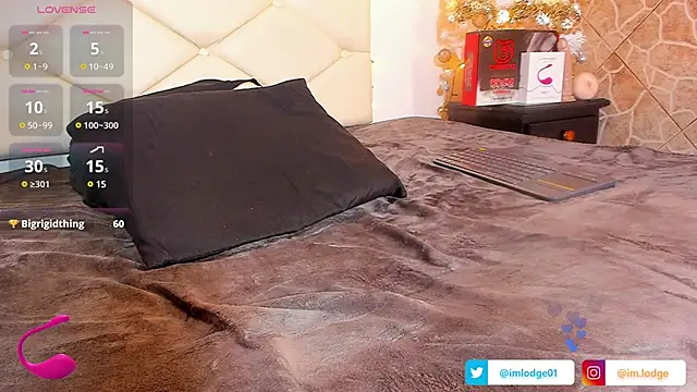 Snapshot of imlodge_ chatting on December 2024 09:13:02 AM imlodge online show from December 2024 09:13:02 AM