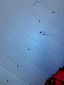 frotasso online show from December 2024 04:15:02 AM