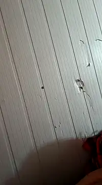 frotasso online show from January 2025 10:32:02 AM