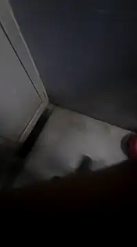 Ritikdesi online show from March 2025 05:23:02 AM