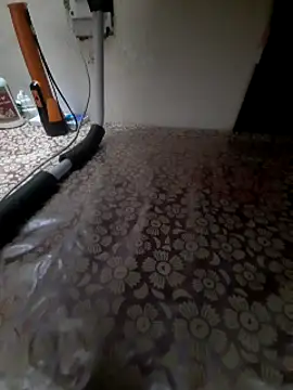 Ritikdesi online show from March 2025 03:58:02 PM