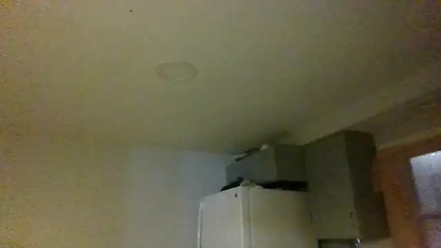 Snapshot of NastyBlackslaveGirl chatting on January 2025 03:15:01 AM NastyBlackslaveGirl online show from January 2025 03:15:01 AM