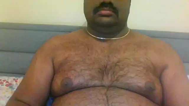 Snapshot of indianbearbot chatting on December 2024 09:00:02 PM indianbearbot online show from December 2024 09:00:02 PM