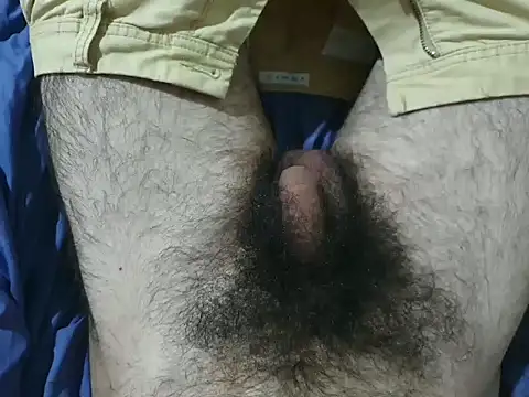 Snapshot of bomvemcam chatting on November 2025 07:11:02 AM bomvemcam online show from November 2025 07:11:02 AM