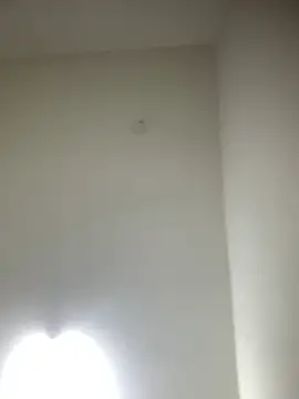 Snapshot of bidex002 chatting on May 2026 11:34:04 PM bidex002 online show from May 2026 11:34:04 PM