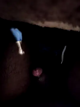 sasuke782 online show from December 2024 01:40:02 PM