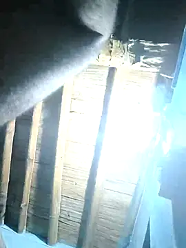 sasuke782 online show from February 2025 01:39:01 PM