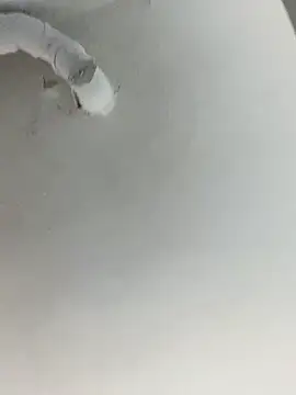 Snapshot of ekskekejejej chatting on September 2025 02:55:02 PM ekskekejejej online show from September 2025 02:55:02 PM