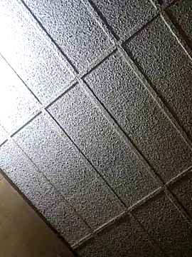 Snapshot of zaneporter46 chatting on February 2025 12:49:01 AM zaneporter46 online show from February 2025 12:49:01 AM