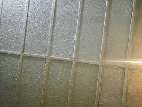 Snapshot of zaneporter46 chatting on February 2025 03:52:01 AM zaneporter46 online show from February 2025 03:52:01 AM