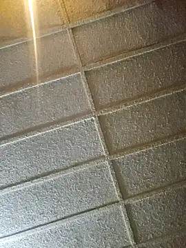 Snapshot of zaneporter46 chatting on February 2025 09:56:02 AM zaneporter46 online show from February 2025 09:56:02 AM