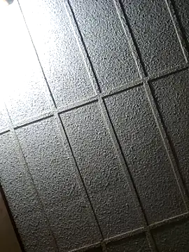 Snapshot of zaneporter46 chatting on February 2025 04:04:01 PM zaneporter46 online show from February 2025 04:04:01 PM