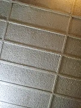 Snapshot of zaneporter46 chatting on February 2025 02:09:02 AM zaneporter46 online show from February 2025 02:09:02 AM