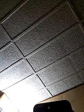 Snapshot of zaneporter46 chatting on February 2025 03:42:01 AM zaneporter46 online show from February 2025 03:42:01 AM