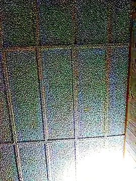 Snapshot of zaneporter46 chatting on March 2025 05:20:01 AM zaneporter46 online show from March 2025 05:20:01 AM