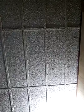 Snapshot of zaneporter46 chatting on March 2025 09:07:01 AM zaneporter46 online show from March 2025 09:07:01 AM