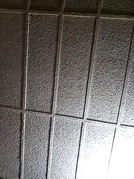 Snapshot of zaneporter46 chatting on March 2025 05:59:02 AM zaneporter46 online show from March 2025 05:59:02 AM