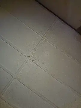 Snapshot of zaneporter46 chatting on October 2025 09:05:02 PM zaneporter46 online show from October 2025 09:05:02 PM